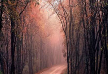 worldcup买球平台 -曼聯(lián)夏(xià)季转会窗口展(zhǎn)望(wàng)：瞄准切尔西明(míng)星(xīng)与皇(huáng)马天才